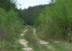 Picture 054